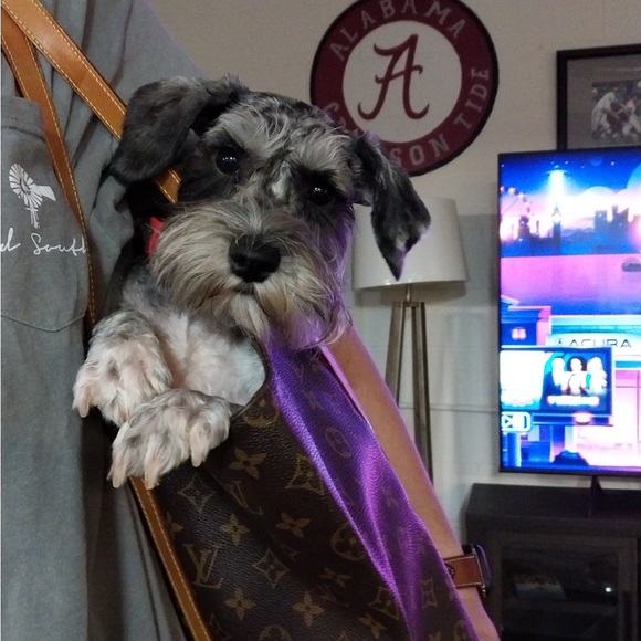 Meet your Posher, Laura - Picture 5 of 6